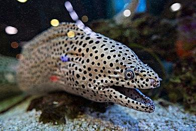 《地球防卫军6》首周销量突破30万 创该系列销售记录